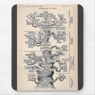 Mousepad Árvore Da Vida / Pedigree Of Man