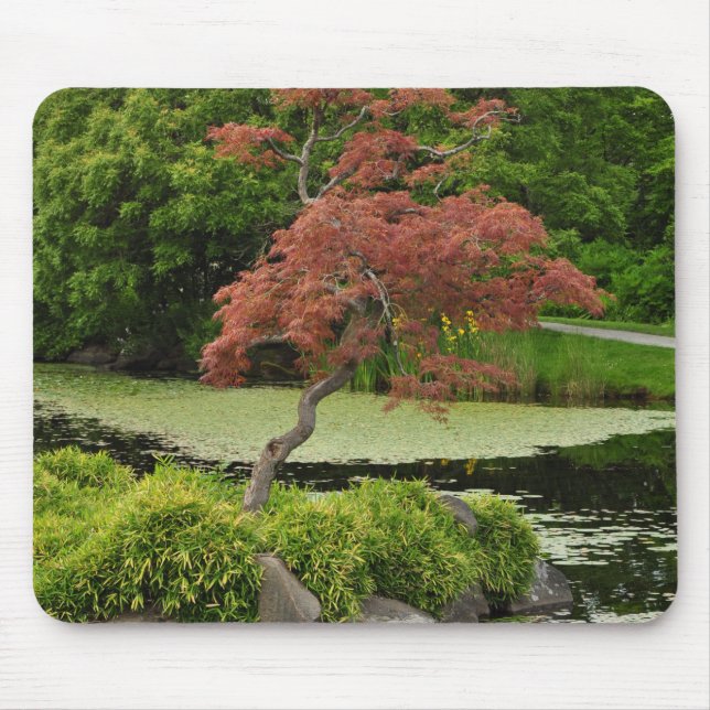 Mousepad Árvore de ácer japonesa e lagoa de jardim (Frente)