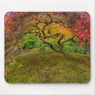 Mousepad Árvore de bordo japonês em cor de outono