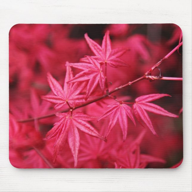 Mousepad Árvore de bordo Mousepad-Vermelha (Frente)