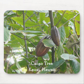 Mousepad Árvore de Cacau, Kauai, Havaí