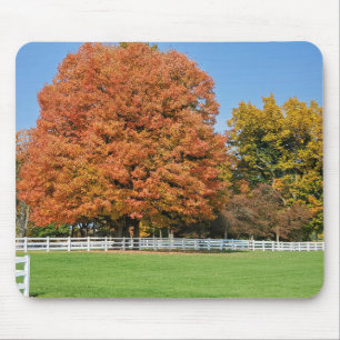 Mousepad Árvore de Carvalho de outono
