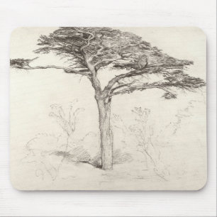 Mousepad Árvore de cedro velha no jardim botânico, Chelse