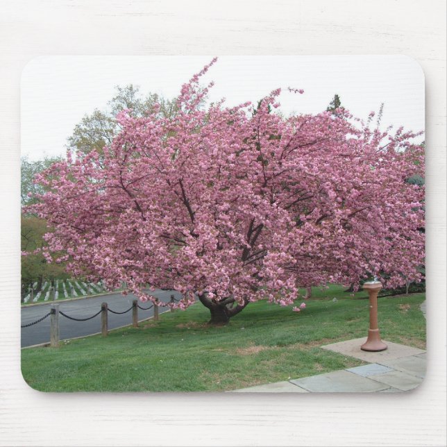 Mousepad Árvore de cereja (Frente)