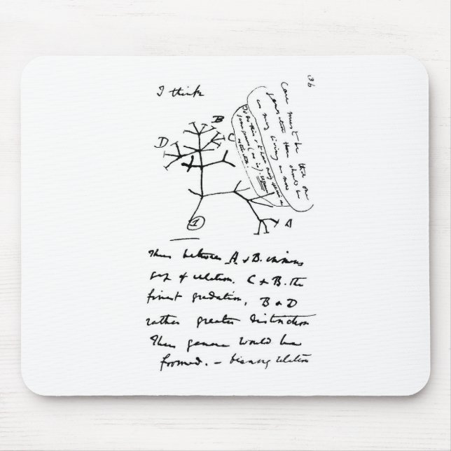 Mousepad Árvore de Darwin (Frente)