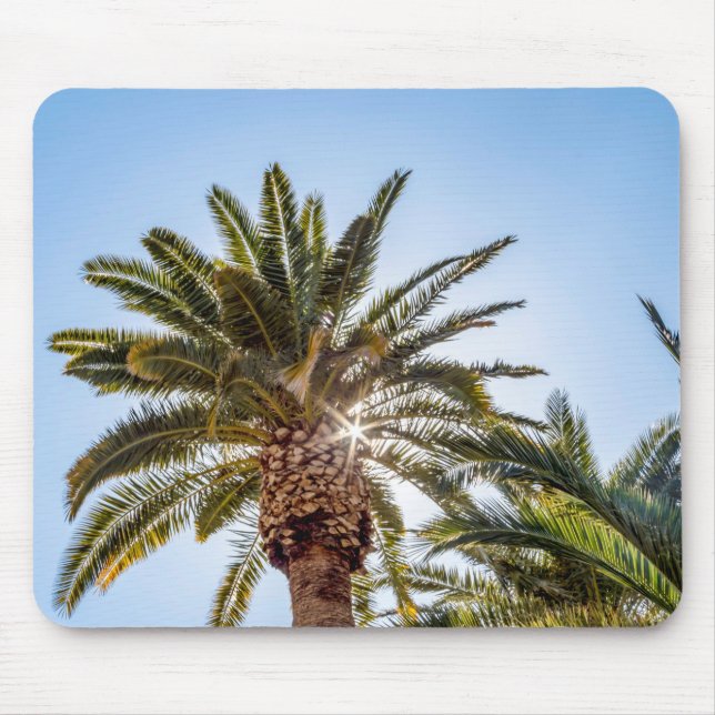 Mousepad Árvore de Palma 4024 com Sunburst (Frente)