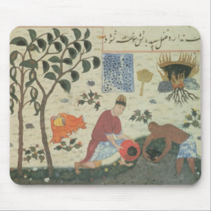 Mousepad Árvore de pimenta da Senhora Pers 332 e pimenta d