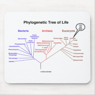Mousepad Árvore de vida filogenética - você está aqui (