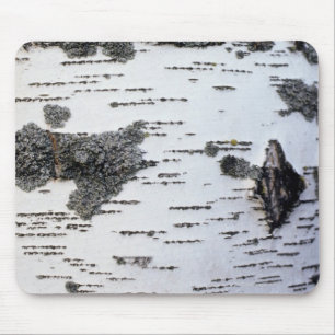 Mousepad Árvore de vidoeiro na floresta, detalhe, com musg