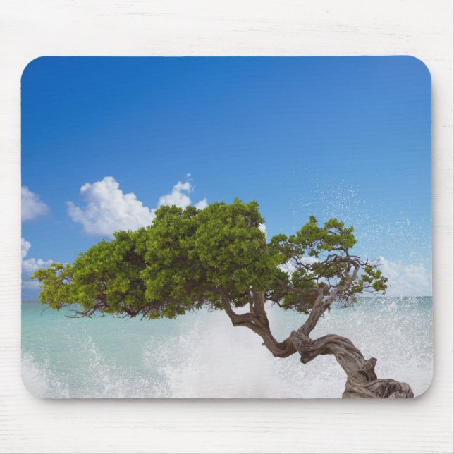 Mousepad Árvore Divi Divi, Praia Eagle, Aruba, Caribe (Frente)