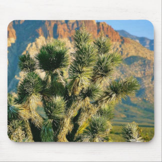 Mousepad Árvore do cacto