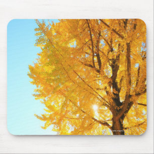 Mousepad Árvore do Gingko, Nagano, Japão