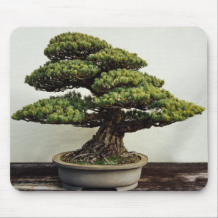 Mousepad Árvore dos bonsais de White Pine do japonês