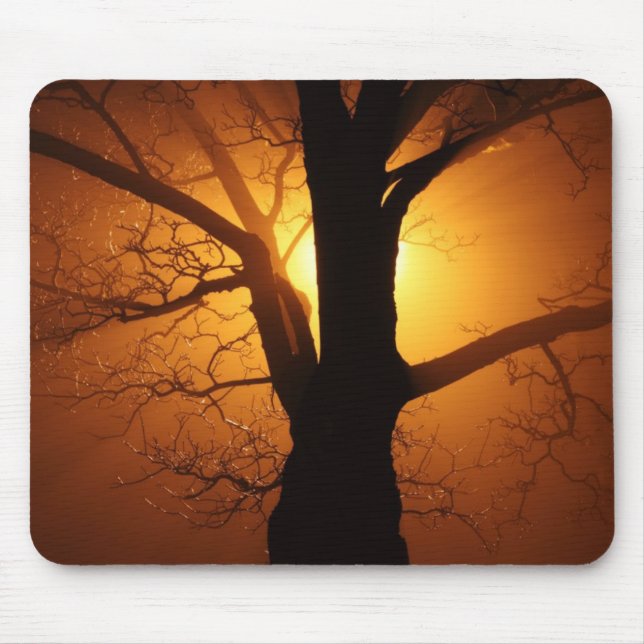 Mousepad Árvore Em Nevoeiro À Noite (Frente)