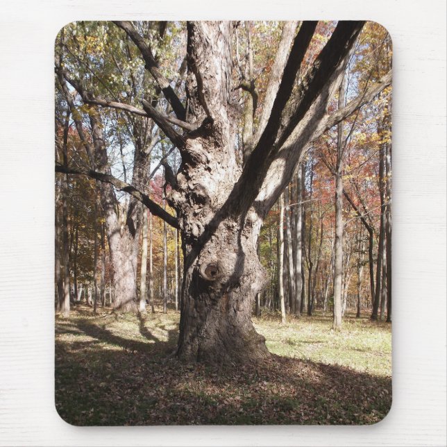 Mousepad Árvore Estranha (Frente)