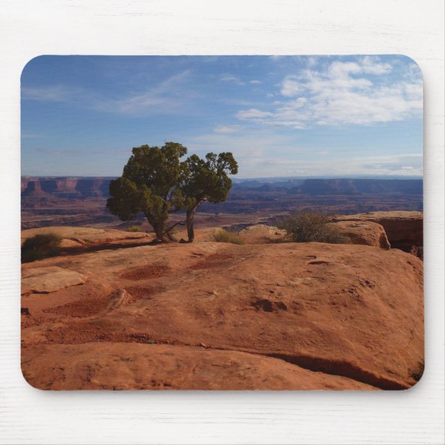 Mousepad Árvore Fora das Rochas Vermelhas I em Canyonlands (Frente)