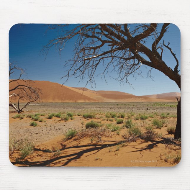 Mousepad árvore inoperante na duna 45 na paisagem do (Frente)