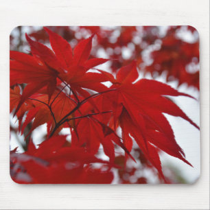 Mousepad Árvore mapeada japonesa