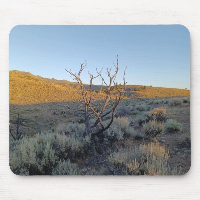 Mousepad Árvore morto no deserto de Nevada (Frente)