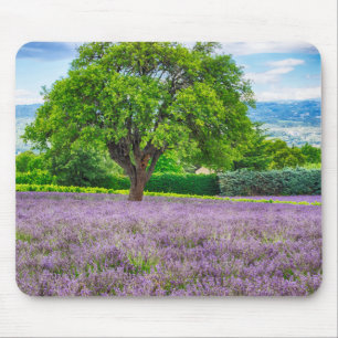 Mousepad Árvore no Campo de Lavanda, França