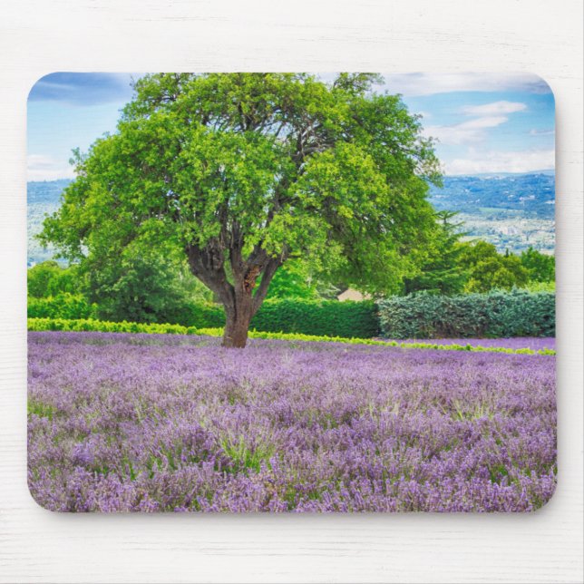 Mousepad Árvore no Campo de Lavanda, França (Frente)