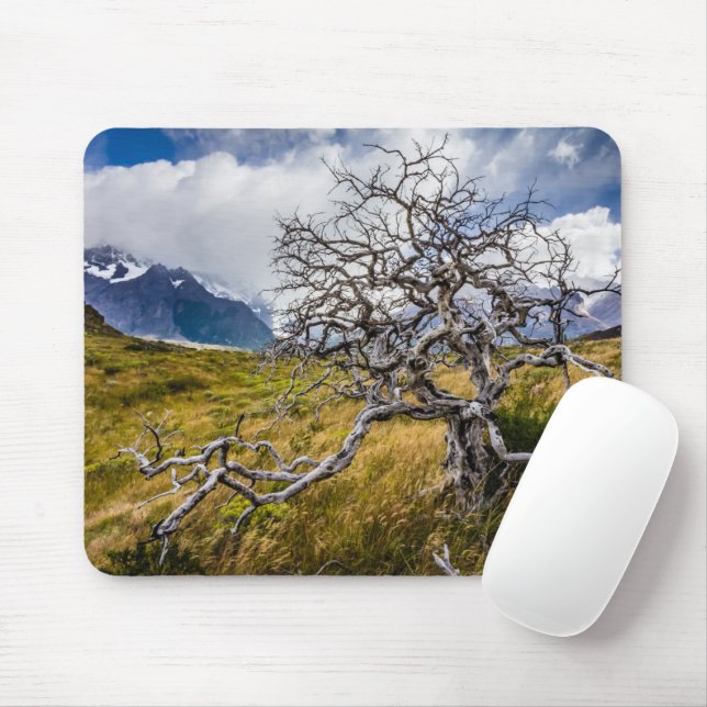 Mousepad Árvore queimada, Torres del Paine, Chile (Com mouse)