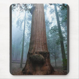 Mousepad Árvore Sequoia Gigante em Grant Grove, CA