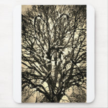 Mousepad árvore vibrante