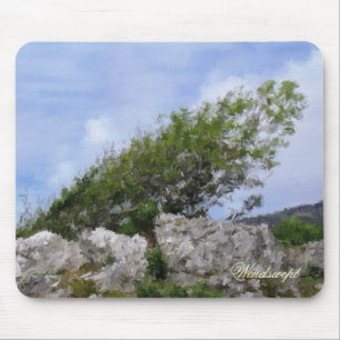 MOUSEPAD ÁRVORES