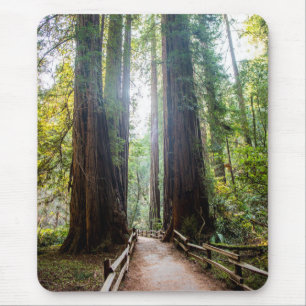 Mousepad Árvores altas