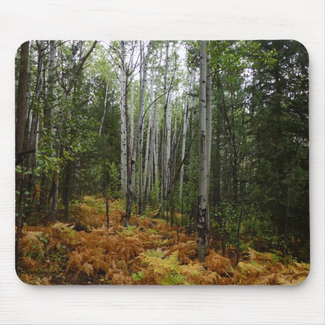 Mousepad Árvores Brancas e Fall Ferns na Montanha Rochosa (Frente)