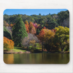 Mousepad Árvores Coloridas do Jardim Botânico do outono