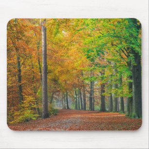 Mousepad Árvores com folha do outono em uma floresta