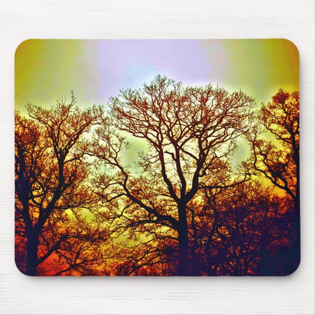 MOUSEPAD ÁRVORES COM SOL NEBULOSO (Frente)