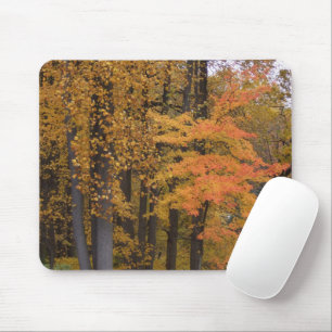 Mousepad Árvores da queda e folhas coloridas brilhantes