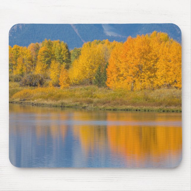 Mousepad Árvores de Aspen Coloridas do outono (Frente)