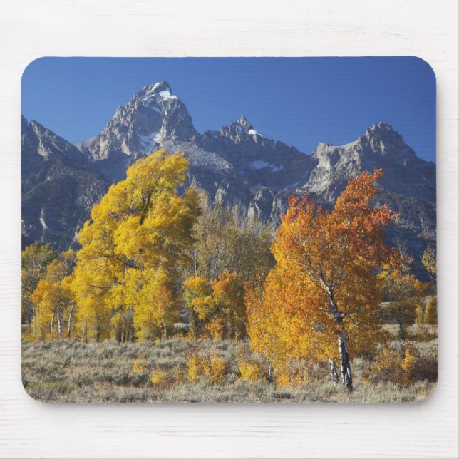 Mousepad Árvores de aspen com a serra de Teton (Frente)