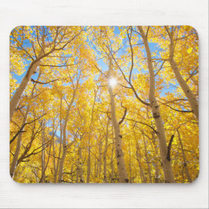 Mousepad Árvores de Aspen Montanhas Sierra Nevada, CA