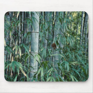 Mousepad Árvores de bambu, Kumamoto, Japão