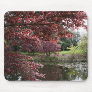 Mousepad Árvores de bordo japonesas no Jardim Botânico Van