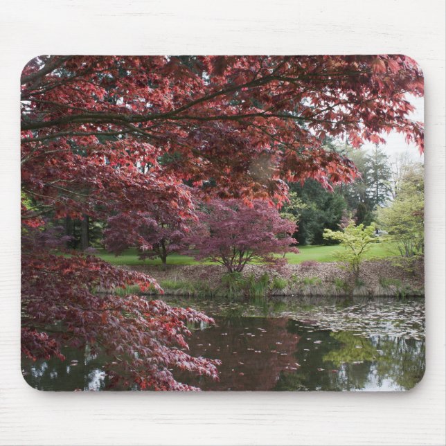 Mousepad Árvores de bordo japonesas no Jardim Botânico Van  (Frente)