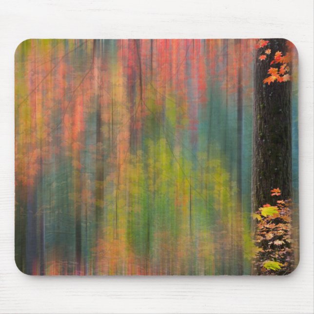 Mousepad Árvores de bordo | Parque Estadual Silver Falls (Frente)