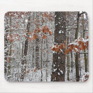 Mousepad Árvores de carvalho cobertas por neve Fotografia 