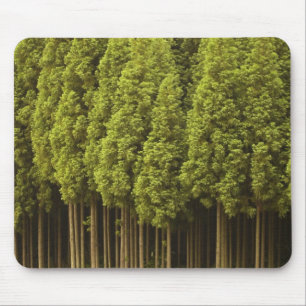 Mousepad Árvores de cedro de Koya Sugi