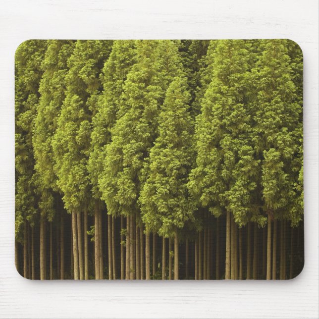 Mousepad Árvores de cedro de Koya Sugi (Frente)