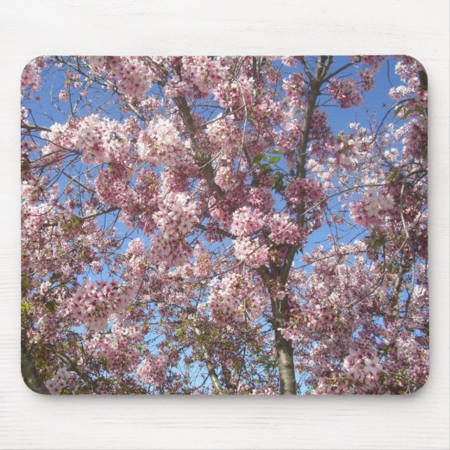 Mousepad Árvores de Cerejeira em Flor (Frente)