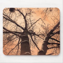 Mousepad Árvores De Inverno Em Baixo