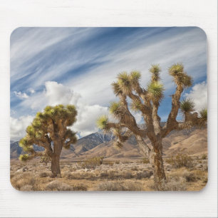 Mousepad Árvores de Joshua no deserto