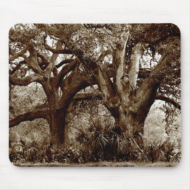 Mousepad Árvores de Nova Orleães Live Oak (Frente)