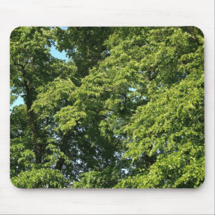 Mousepad Árvores de Verão